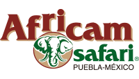 Africam Safari